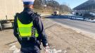 ogólnopolskie kontrole pojazdów 