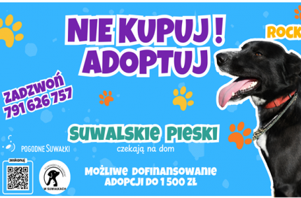 Ratusz przypomina o programie wsparcia finansowego przy adopcji