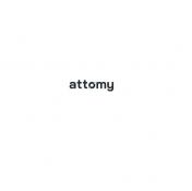 Attomy - doradztwo i wdrożenia digital commerce Attomy