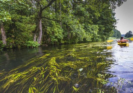AS-TOUR – Ekstremalne i Malownicze Spływy Kajakowe Rospuda