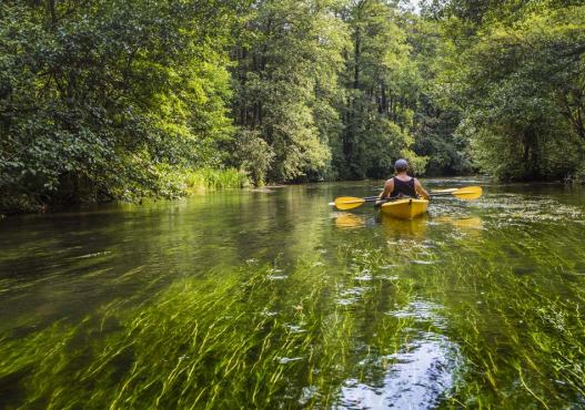 AS-TOUR – Ekstremalne i Malownicze Spływy Kajakowe Rospuda
