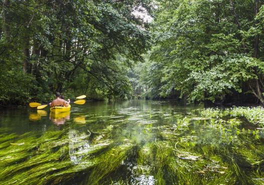 AS-TOUR – Ekstremalne i Malownicze Spływy Kajakowe Rospuda