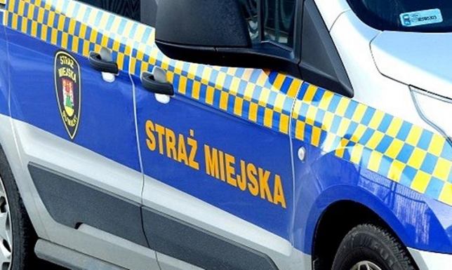 Straż Miejska ukarze za nieprawidłową jazdę rowerem i hulajnogą Od 20. października Straż Miejska zyskała nowe uprawniania