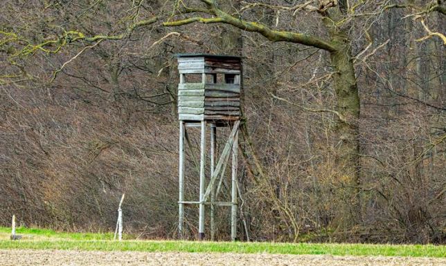 Do lasu nie wejdą też myśliwi