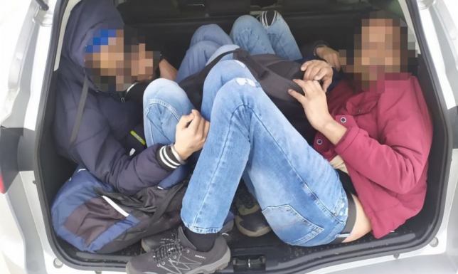 Przez Polskę w bagażniku