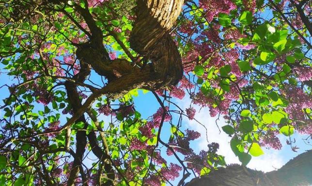 Konkurs fotograficzny ZS6 i suwalki.info rozstrzygnięty! Konkurs fotograficzny ZS6 i suwalki.info rozstrzygnięty!