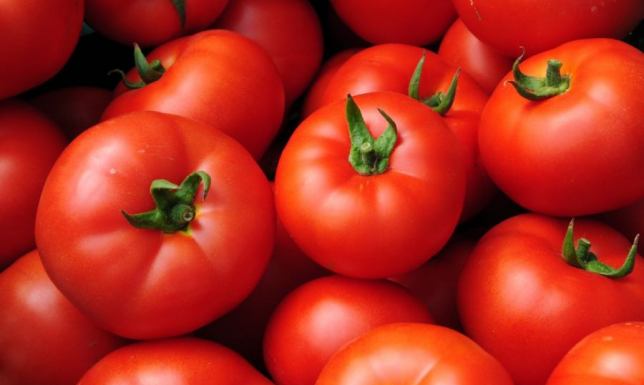 Pomidor Baron – idealna odmiana do uprawy pod osłonami, gwarancja zdrowych i obfitych plonów