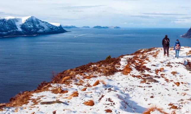 Nowa wystawa w Galerii Jednego Obrazu SOK