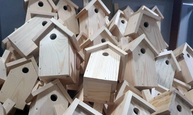 W suwalskim Urzędzie Miejskim rozdawane będą budki lęgowe dla ptaków