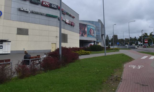 Choinka za karmę- wsparcie czworonożnych przyjaciół.