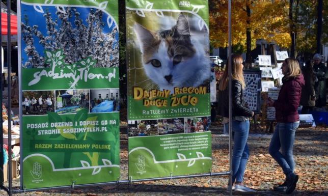 Promujmy postawy proekologiczne wśród dzieci i młodzieży