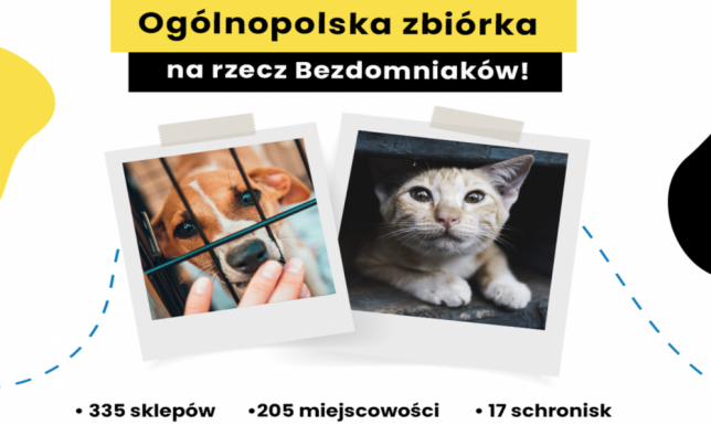 Karmimy Psiaki - zbiórka dla bezdomnych zwierząt  zbiórka dla bezdomnych zwierząt organizowana przez akcję Karmimy Psiaki