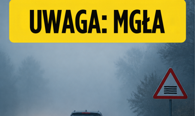 Gęsta mgła ogranicza widzialność. Utrudnienia mogą potrwać do południa