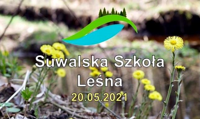 Weź udział w Suwalskiej Szkółce Leśnej 20 maja 2021 r. - Suwalska Szkoła Leśna