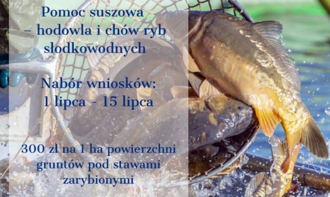 Pomoc suszowa Suwałki– wnioski od 1 lipca