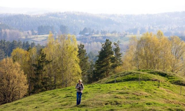 Spacer po Suwalskim Parku Krajobrazowym Spacer po Suwalskim Parku Krajobrazowym