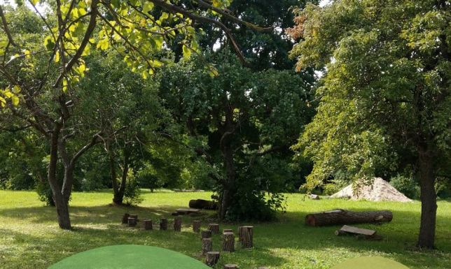 Posprzątamy, pobawimy się, a całe wydarzenie zakończymy wspólnym ogniskiem