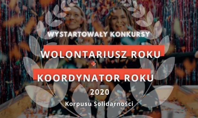 Konkurs na najlepszego wolontariusza