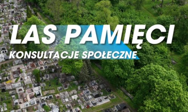 Las Pamięci na suwalskim cmentarzu? Miasto pyta mieszkańców o zdanie