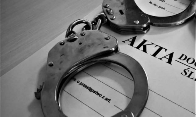 Suwalscy policjanci zatrzymali podejrzanego o kradzieże zuchwałe