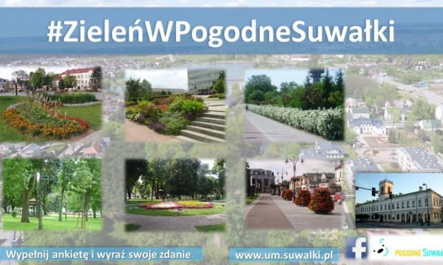Zieleń w Suwałkach - konsultacje społeczne Ankieta na temat zieleni w Suwałkach