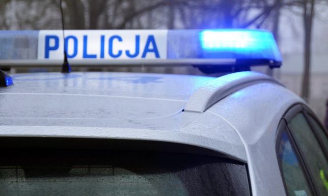 Mężczyzna był pijany, a samochód skradł chwilę wcześniej. 