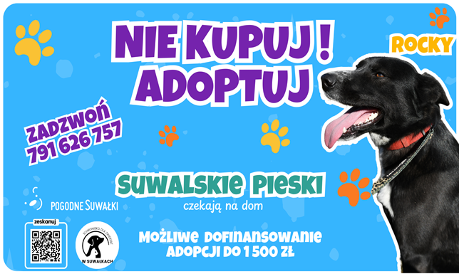 Ratusz przypomina o programie wsparcia finansowego przy adopcji