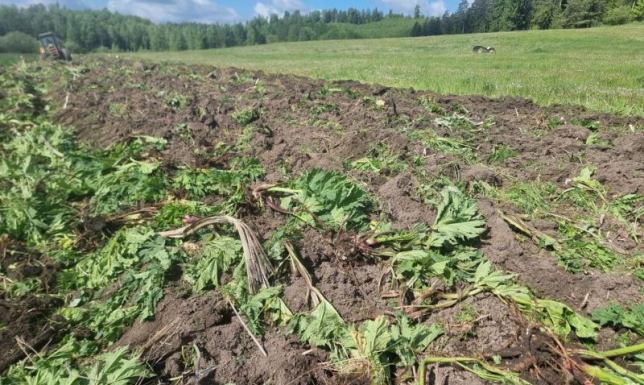 W Suwalskim Parku Krajobrazowym prowadzone są intensywne działania,