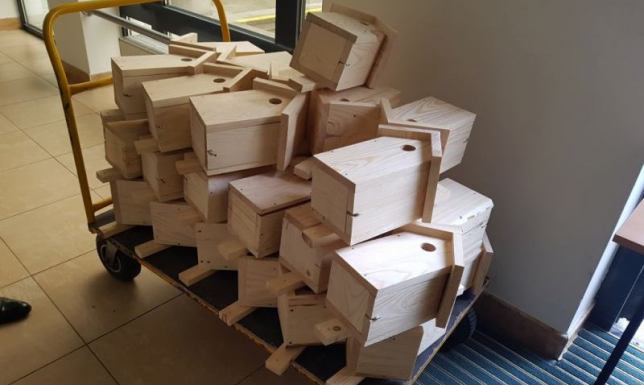 w suwalskim Urzędzie Miejskim rozdawane będą budki lęgowe dla ptaków