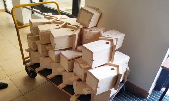 budki lęgowe dla ptaków mogą zostać przekazane mieszkańcom Suwałk