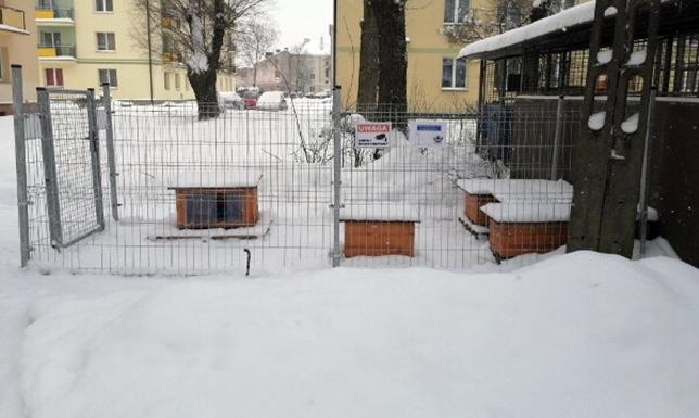 Zima jest wyjątkowo trudnym okresem także dla zwierząt