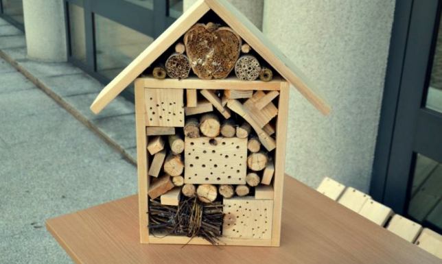 Budki dla suwalskich przedszkoli i spółdzielni