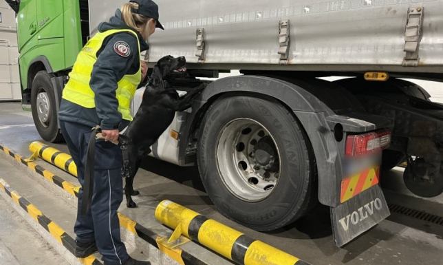 Pół miliona paczek przemycanych papierosów zamiast sprzętu AGD  przemyt ponad 500 tysięcy paczek papierosów udaremniony w Budzisku