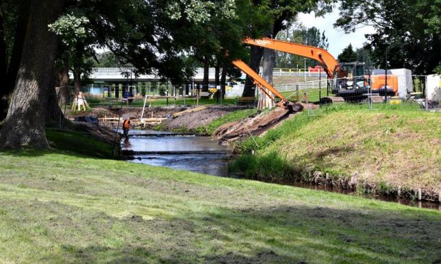 wycinka drzew w związku z budową parku sensorycznego i kładki 