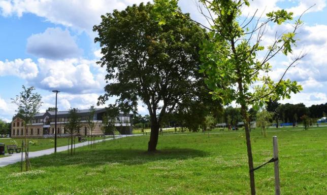 napis świetlny przestrzenny 3D "SUWAŁKI" pojawi się na bulwarach