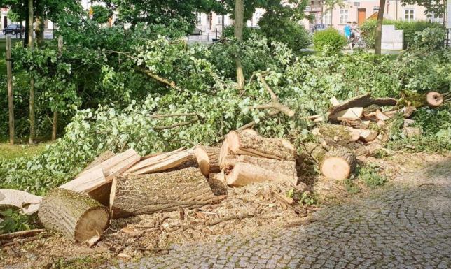 Połamane gałęzie i przewrócone drzewa po burzy w Suwałkach Silne porywy wiatru, w kilku miejscach naszego miasta poważnie uszkodziły drzewostan.