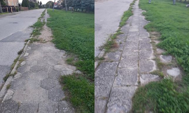  zarośnięty chodnik i brak reakcji ze strony służb miejskich