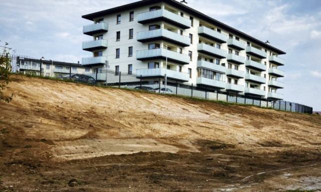 Zazieleni się skarpa przy ul. Chopina w Suwałkach 3000 sztuk traw, bylin oraz krzewów zostanie zasadzonych przy ul. Chopina