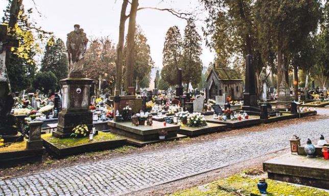 Wykonanie oświetlenie alei głównej na terenie cmentarza przy ulicy Reja w Suwałkach. 