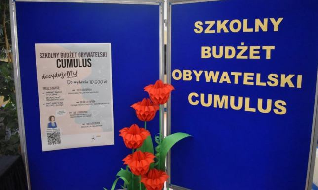  ewaluacja pierwszej edycji Szkolnego Budżetu Obywatelskiego CUMULUS
