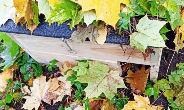 Na terenie Suwałk zostanie ustawionych 40 domków dla jeży