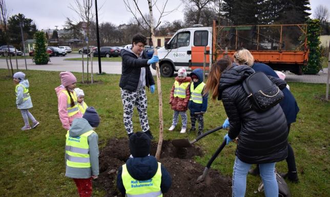 Akcja sadzenia drzew na suwalskich bulwarach nad Czarną Hańczą