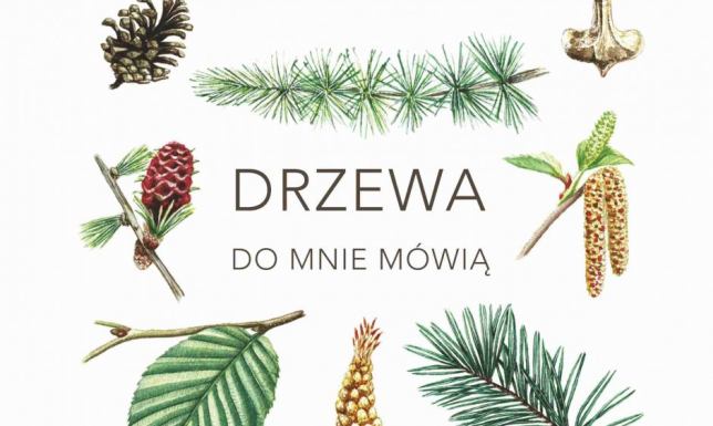 Wystawa ilustracji Pauliny Polcyn-Nowackiej w Bibliotece w Suwałkach