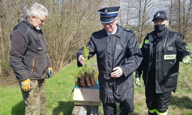 Setna rocznica utworzenia Związku Ochotniczych Straży Pożarnych RP Drzewka posadzili w podsuwalskim Sobolewie druhowie Ochotniczej Straży Pożarnej