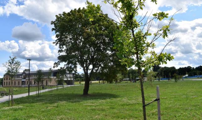 budowa Tężni Solankowej na suwalskich Bulwarach nad Czarną Hańczą