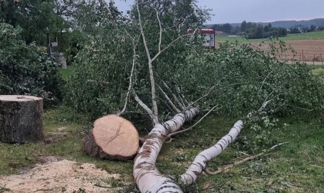 Policjanci zatrzymali nietrzeźwego 80-latka, który kierował ciągnikiem