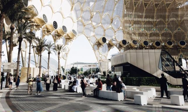 Ekspozycja "Xylopolis. Miasto zasilane naturą" w Polskim Pawilonie w Dubaju