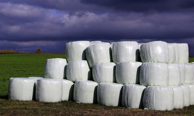 Folia zniknie z Gmin Suwałki i Bakałarzewo