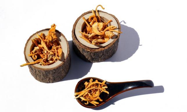 Kordyceps – energia i witalność na wyciągnięcie ręki