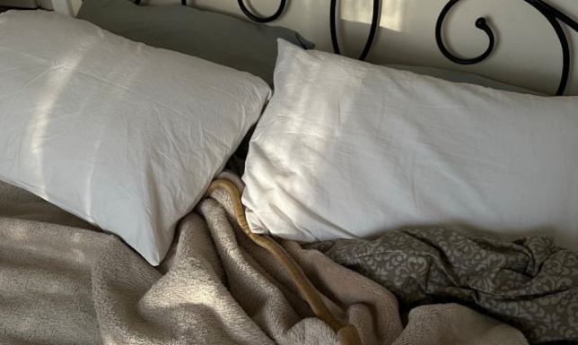 Satynowy chłód kontra ciepło koca. Gra kontrastów, która uspokaja przebodźcowany umysł